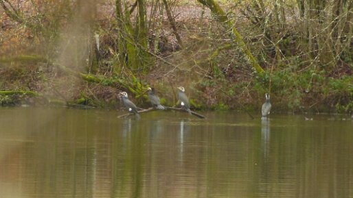 wir wurden argwöhnich beobachtet